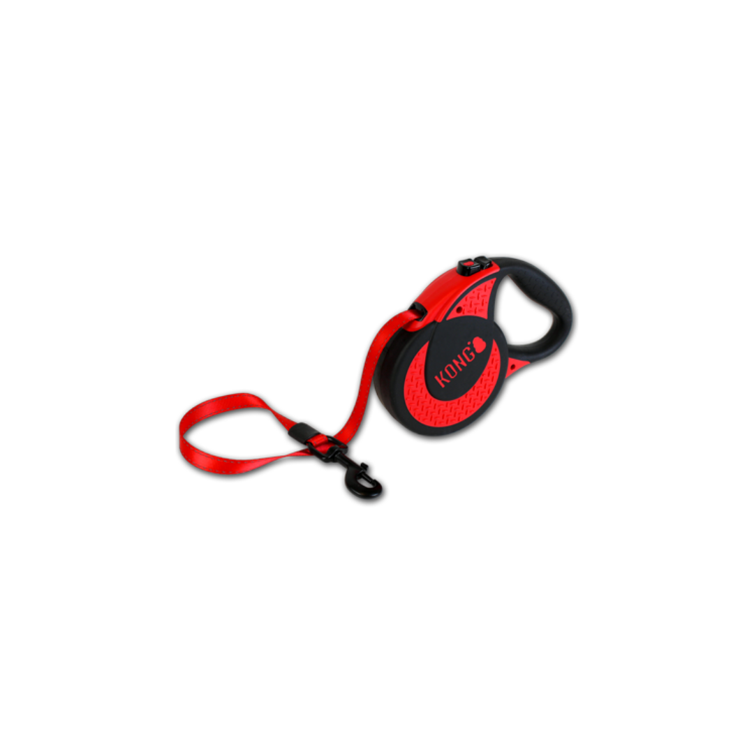 Kong leash best sale